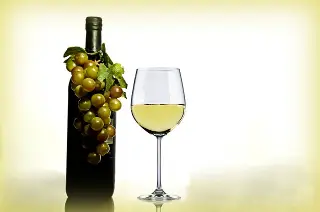 MEJORES vinos blancos